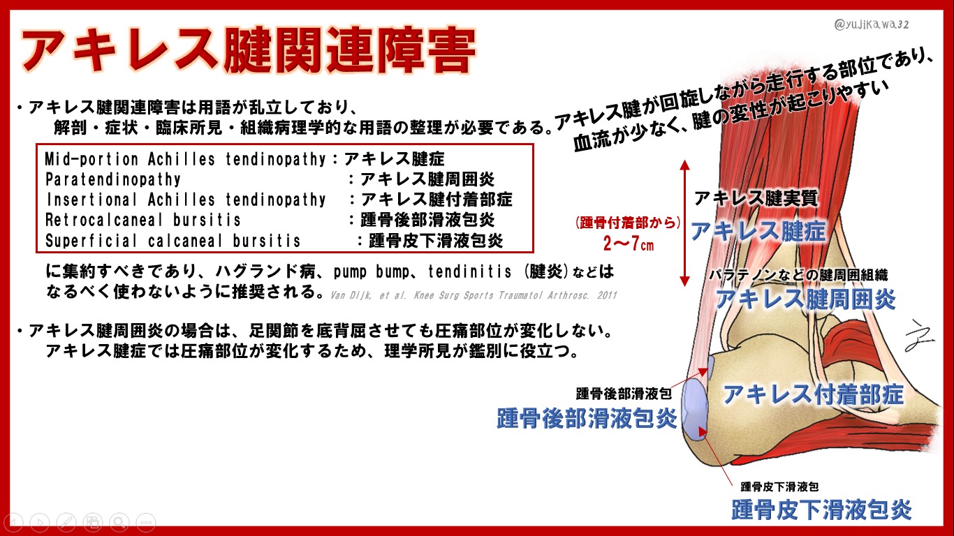 アキレス腱関連の障害分類
