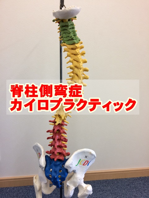 脊柱側弯症カイロプラクティック
