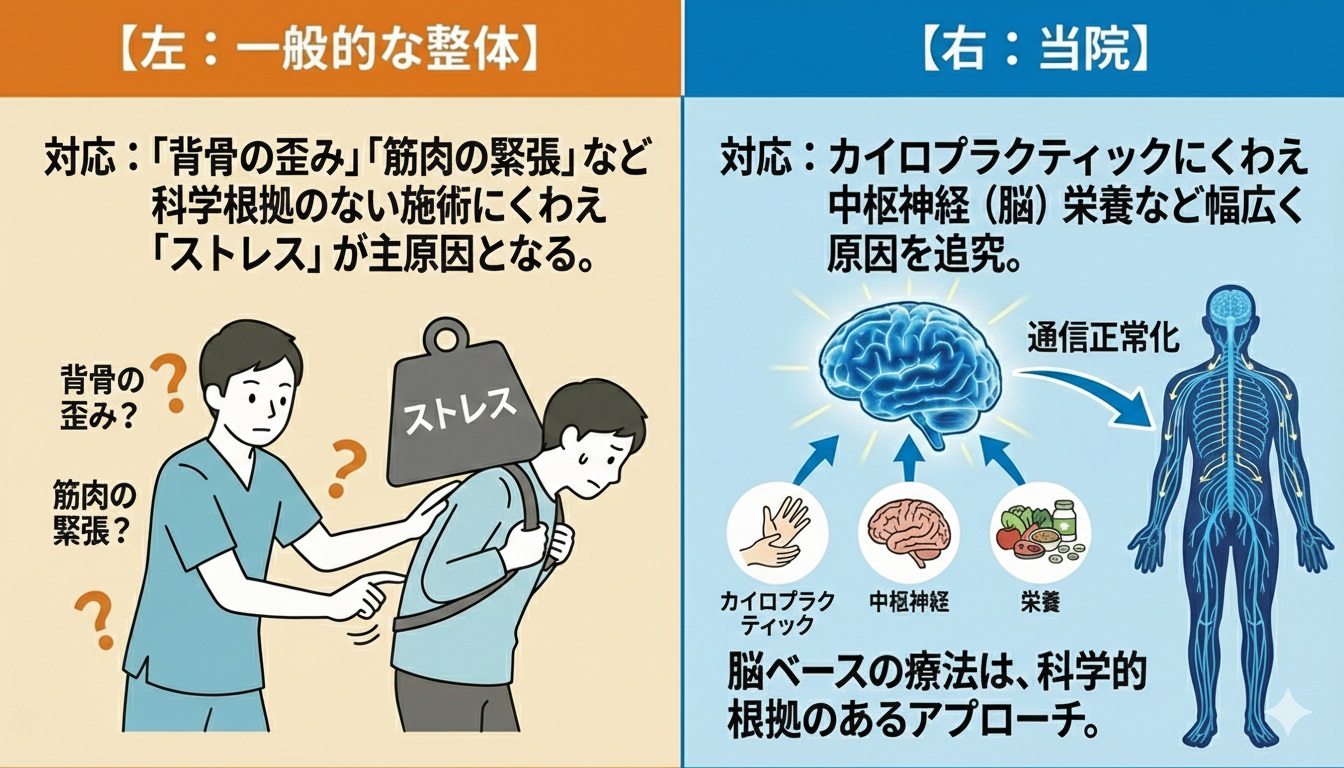 一般的な整骨院、整体は脳と自律神経の知識が乏しく結果として背骨の歪み、医療機器頼みのアプローチとなりやすい。当院は脳科学の論文を臨床応用して独自の手法で自律神経症状や慢性症状にも栄養面、脳機能面、体の機能面から対応し、神経機能を向上させるツールも導入して対応
