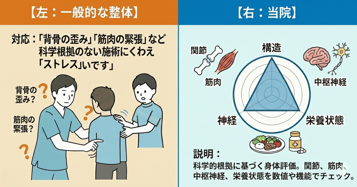 一般的な整体、整骨院は骨盤の歪みや筋肉の固さが症状の原因とすることが多い。当院は筋骨格の問題を詳細に分析するだけではなく他にも視覚、バランス感覚、体性感覚などの脳機能評価、栄養バランスなど独自の視点で多角的に原因を追究、自律神経機能も客観的にツールで評価することで症状の原因をより深く追求できる。